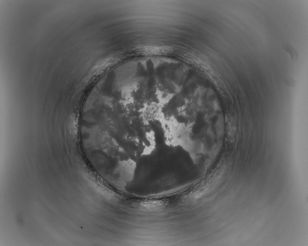 X0000111460357200907271256