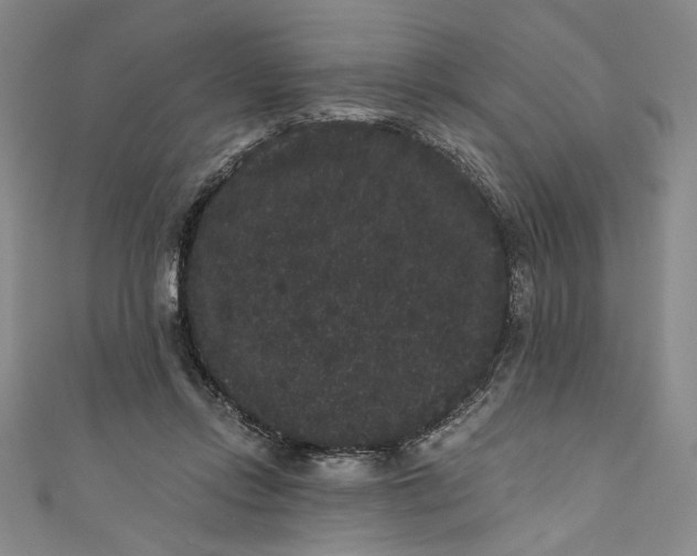 X0000111460358200907271256