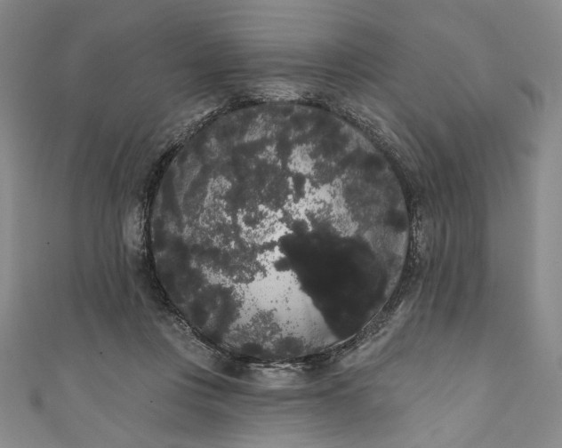 X0000111460359200907271256