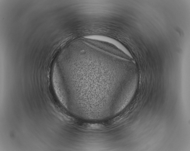 X0000111460360200907271256