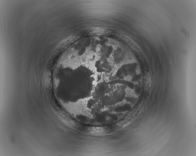 X0000111460361200907271256