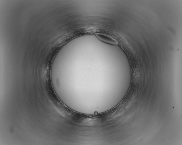 X0000111460364200907271256