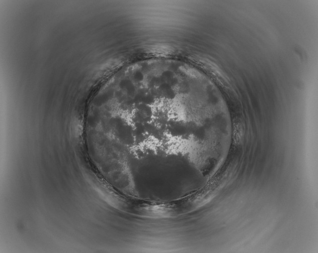 X0000111460365200907271256