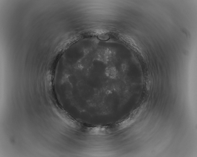 X0000111460366200907271256