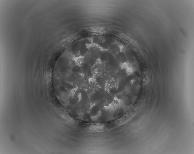 X0000111460369200907271256