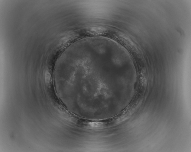 X0000111460371200907271256