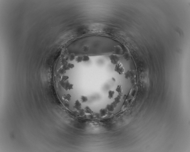 X0000111460372200907271256