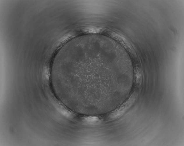 X0000111460374200907271256