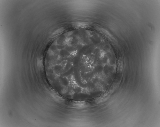 X0000111460377200907271256