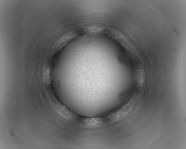 X0000111460378200907271256