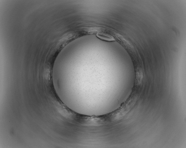 X0000111460379200907271256