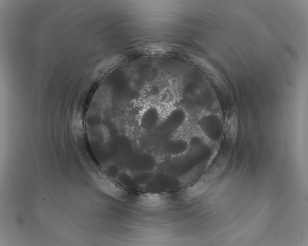 X0000111460381200907271256