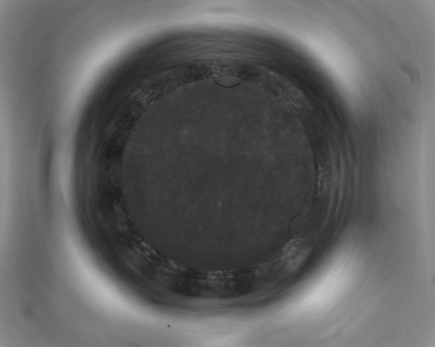 X0000111460383200907271256