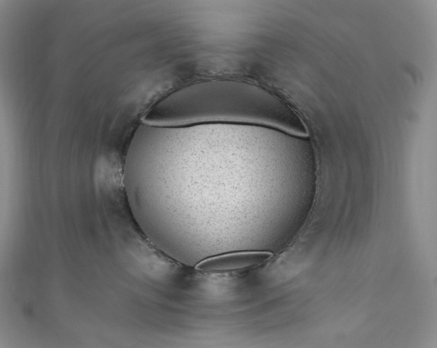 X0000111460384200907271256