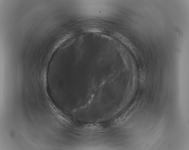 X0000111460386200907271255