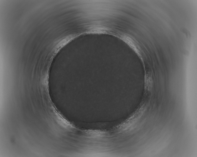 X0000111460389200907271255