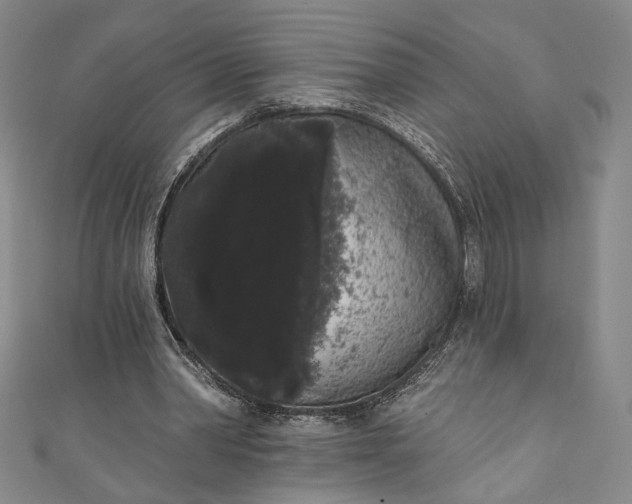 X0000111460390200907271255