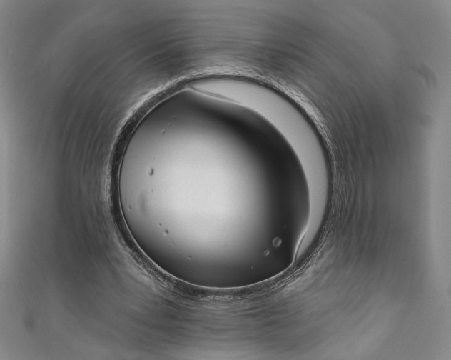 X0000111460391200907271255