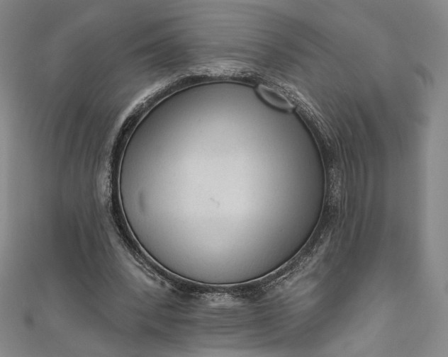 X0000111460392200907271255