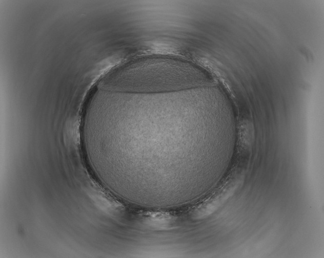 X0000111460395200907271255