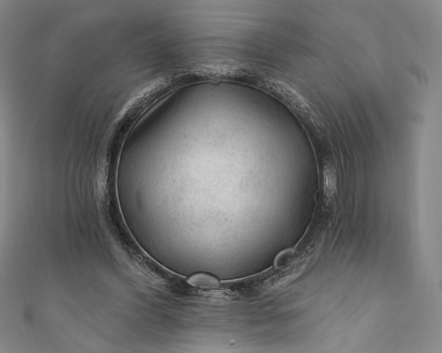 X0000111460396200907271255