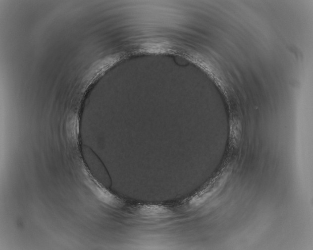 X0000111460397200907271255