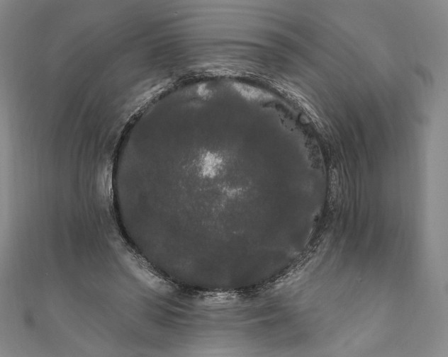 X0000111460398200907271255