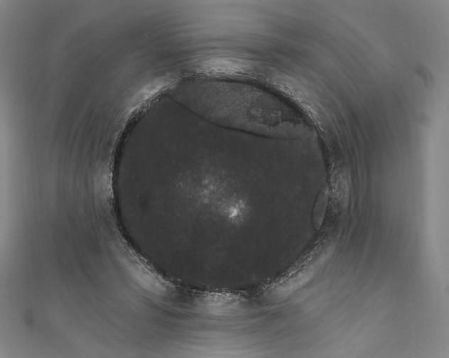 X0000111460399200907271255