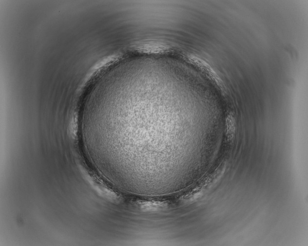 X0000111460400200907271255