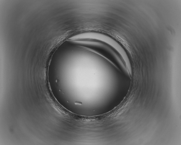 X0000111460401200907271255