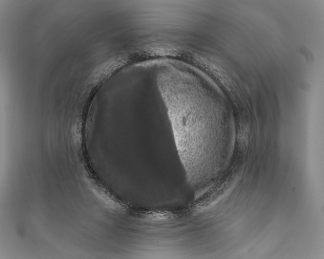 X0000111460402200907271255