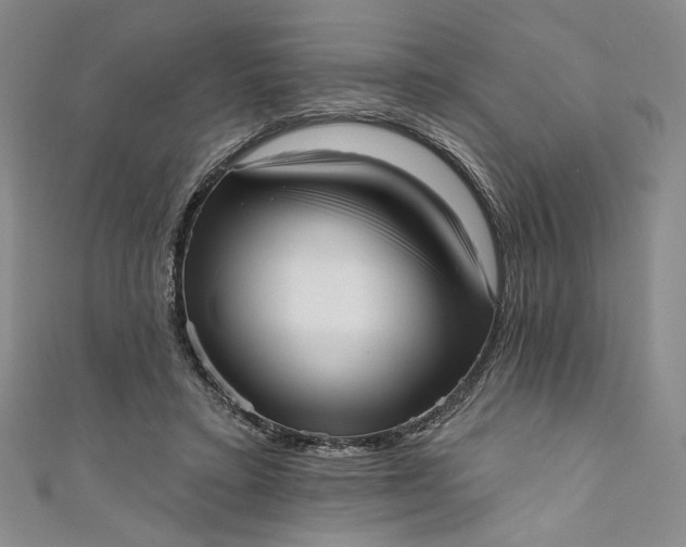 X0000111460403200907271255