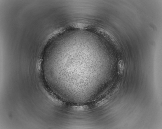 X0000111460404200907271255