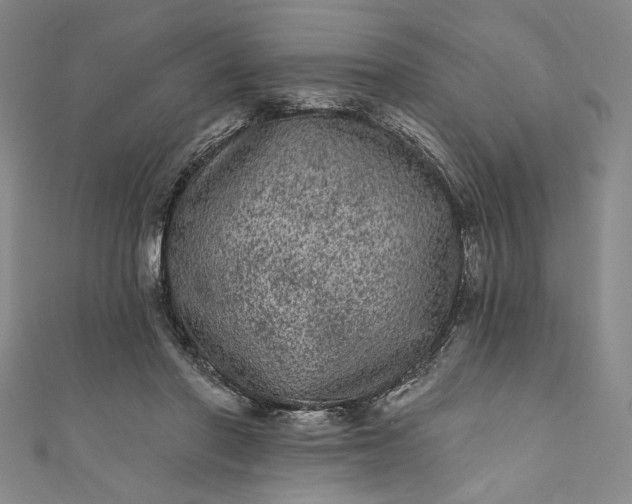 X0000111460406200907271255