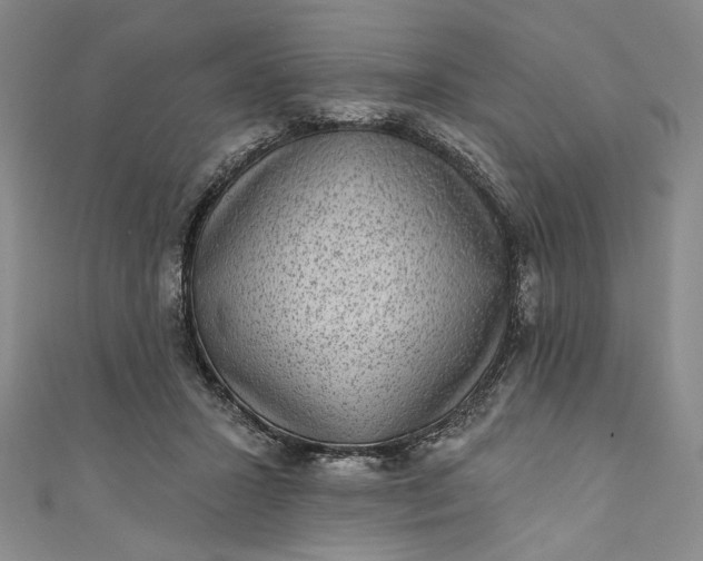 X0000111460407200907271255