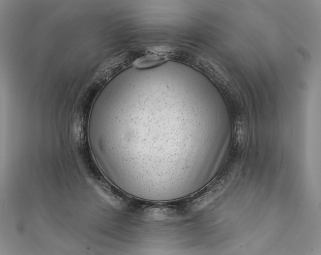 X0000111460408200907271255