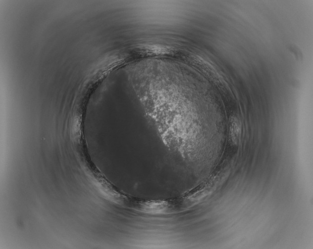 X0000111460410200907271255