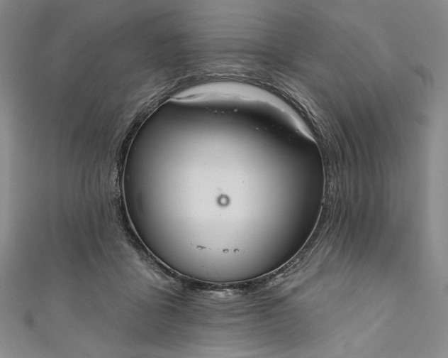 X0000111460411200907271255