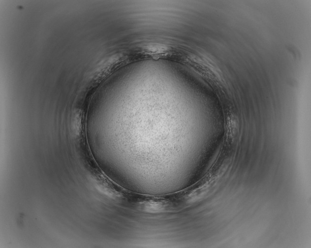 X0000111460412200907271255