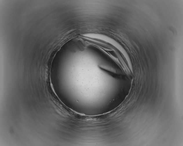 X0000111460413200907271255