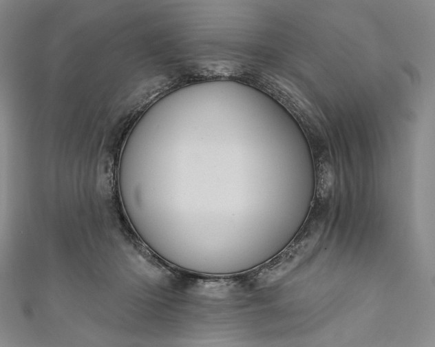 X0000111460414200907271255