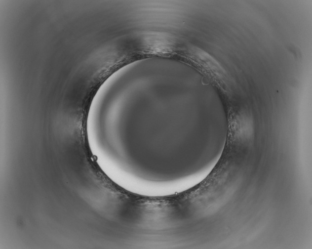 X0000111460415200907271255