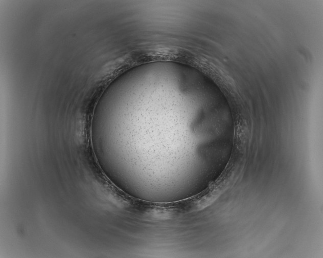 X0000111460416200907271255