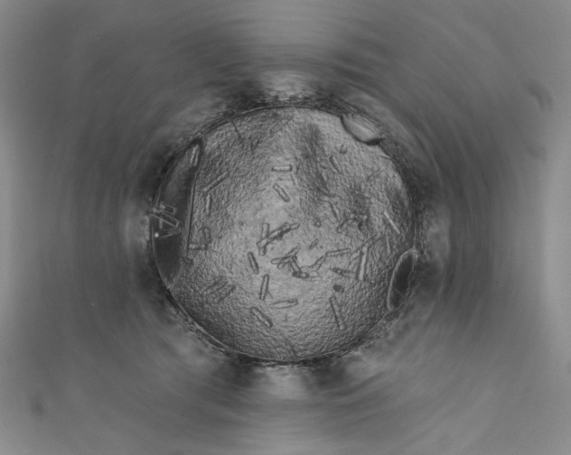 X0000111460417200907271255