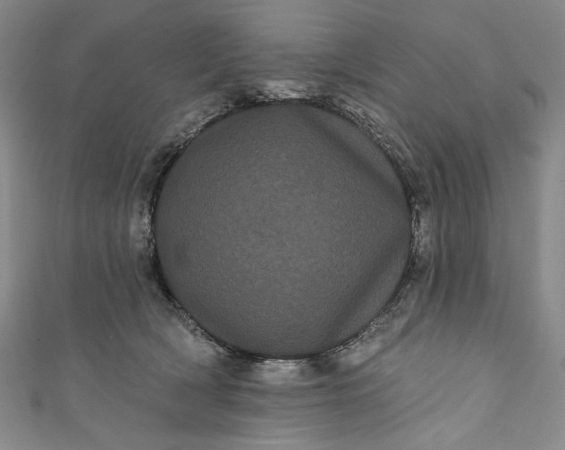 X0000111460418200907271255