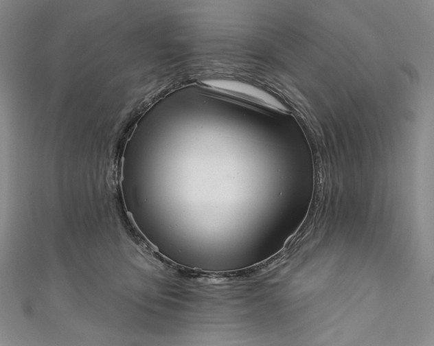 X0000111460419200907271255