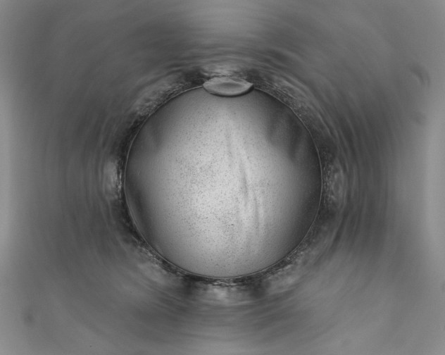 X0000111460420200907271255