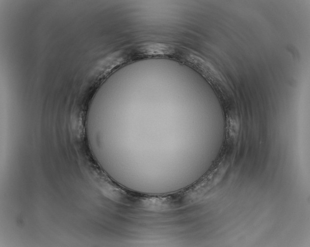 X0000111460422200907271255