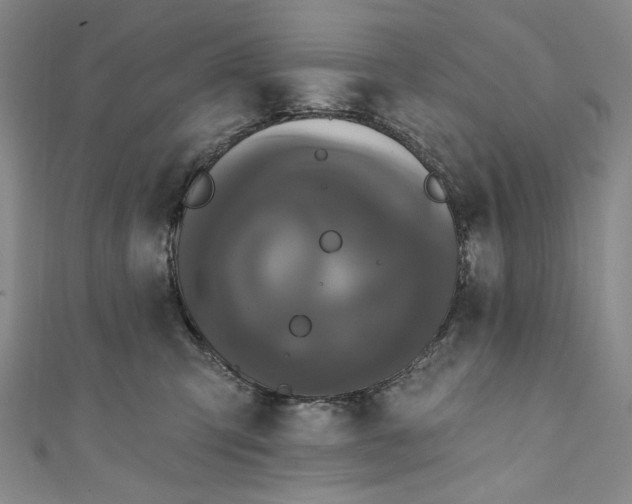 X0000111460423200907271255