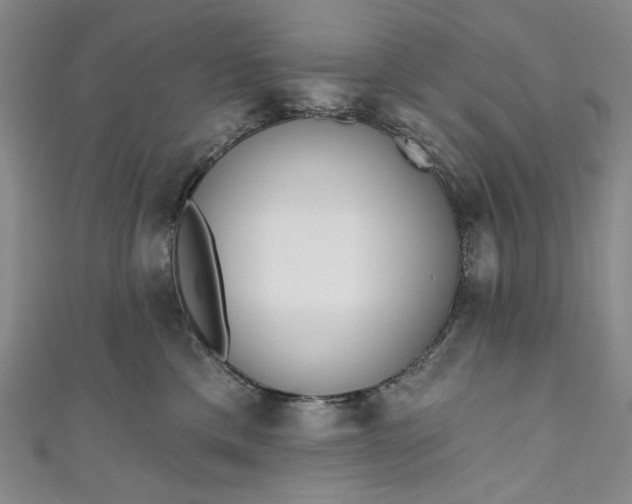 X0000111460425200907271255